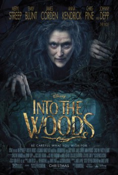 poster Into the Woods&nbsp;&nbsp;(2014)